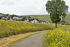 Basilika St. Martin