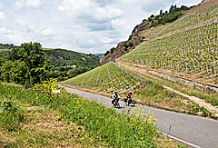 Bergauf zum Weingut