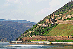 Festung Ehrenfels