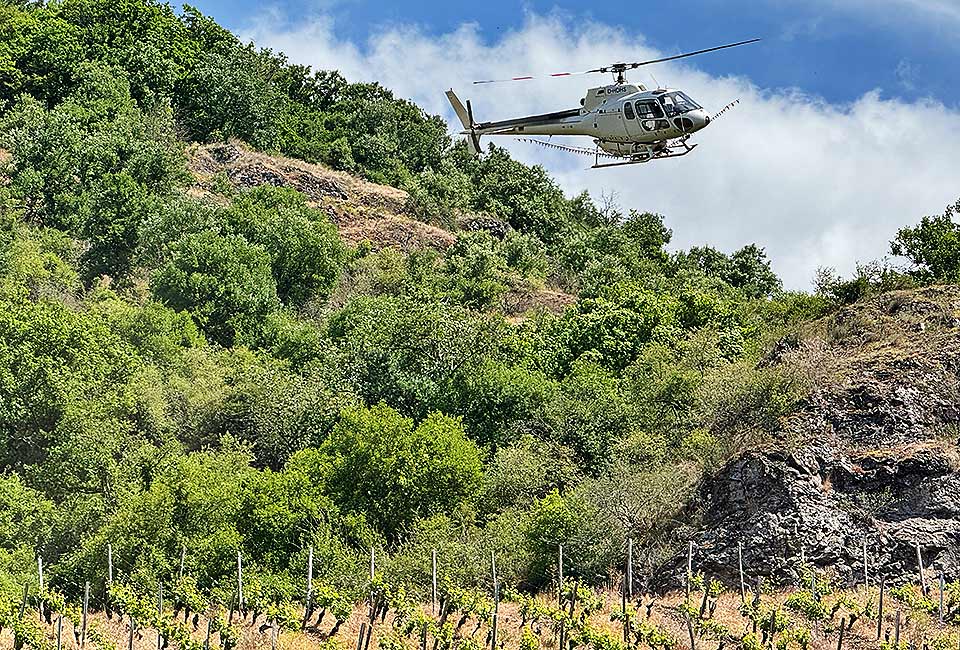 Heli hilft beim Spritzen Heli hilft beim Spritzen