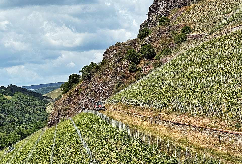 Mühsamer Weinbau Mühsamer Weinbau