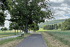 Gut ausgebauter Radweg