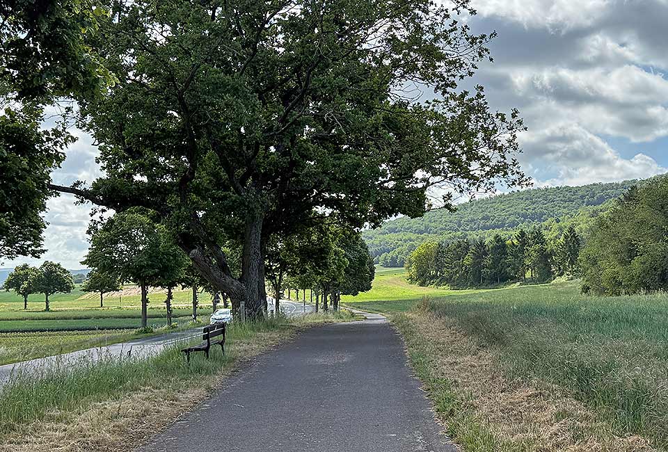 Blick auf Simmertal Gut ausgebauter Radweg