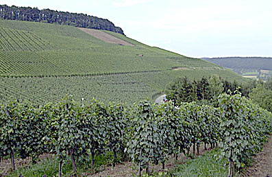 Beilsteiner Weinberge