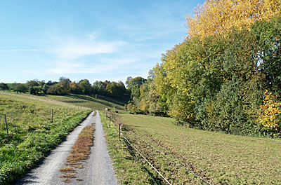 Das liebliche, naturbelassene Schozachtal