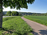 Radweg nach Neckartenzlingen