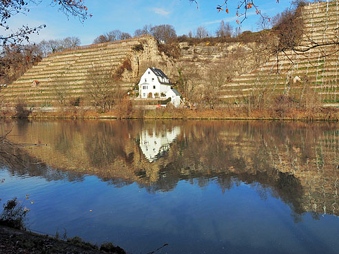 Blick auf Aldingen