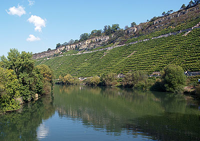 Felsengärten direkt am Neckar