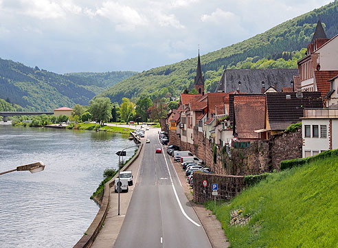 Hirschhorn klebt am Berg