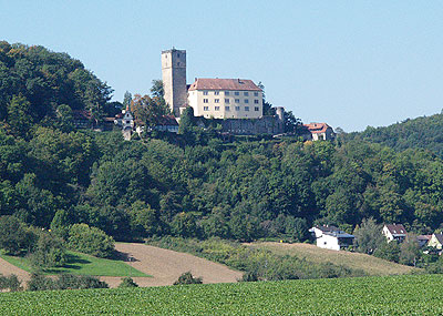 Blick auf Burg Guttenberg