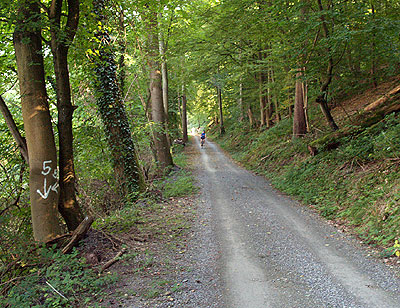 Sch&ouml;ner Naturweg
