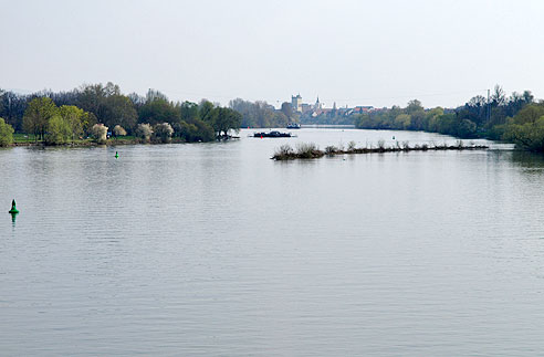 

Neckar bei Ilvesheim