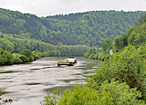 Blick auf den Neckar