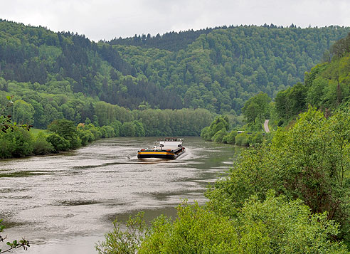 Blick auf den Neckar