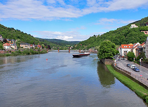 
Blick auf den Neckar