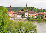 Blick auf Neckargemünd