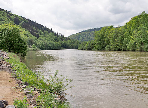 Radweg bei Pleutersbach