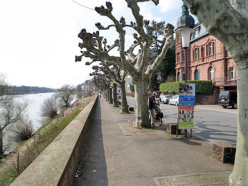 
Wundersch&ouml;ne Fu&szlig;g&auml;ngerzone