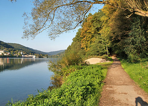 Fähre in Neckarhausen