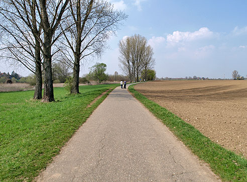 

Neckar bei Ilvesheim