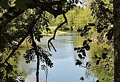 Der Neckar ist schon breiter