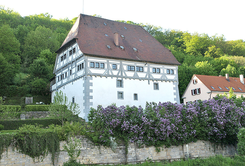 Schloss Neckarburg in Neckartenzlingen