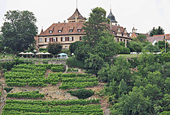 Renaissanceschloss Kleiningersheim