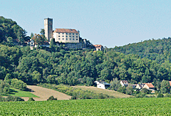 Blick auf Burg Guttenberg
