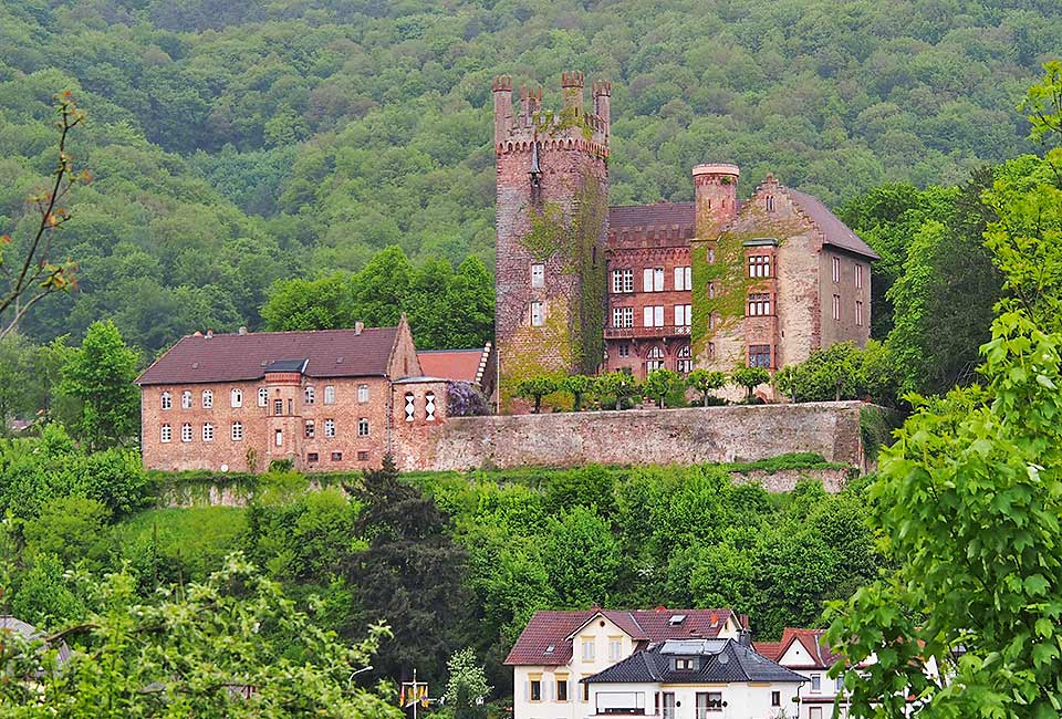 Die Mittelburg in Neckarsteinach