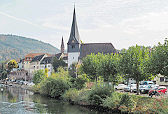 Blick auf Neckargemünd