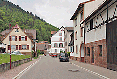 Radweg in Rockenau