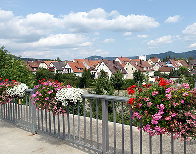Brücke in Rietheim