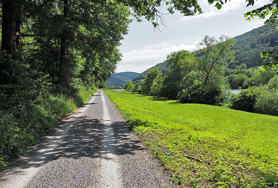 Radtour auf dem Odenwald-Madonnen-Radweg von Tauberbischofsheim bis Speyer