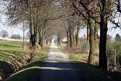 Allee