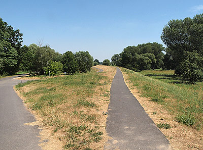 Auf dem Dammweg
