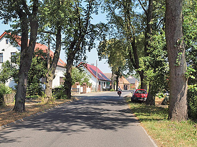 Auf Alleen durch Lossow