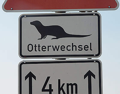 Otterwechsel