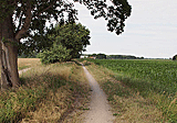 Der Schlangenweg