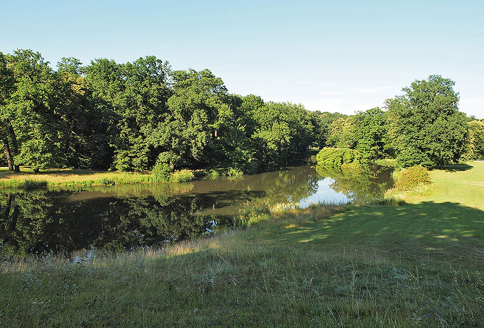 Blick in den Park