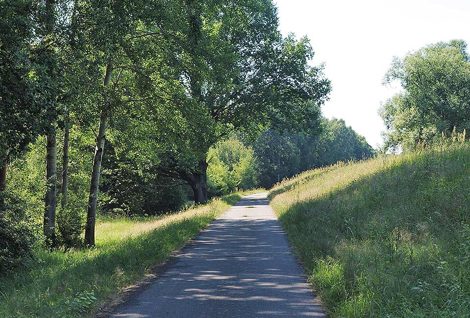 Radweg am Fuß des Dammes