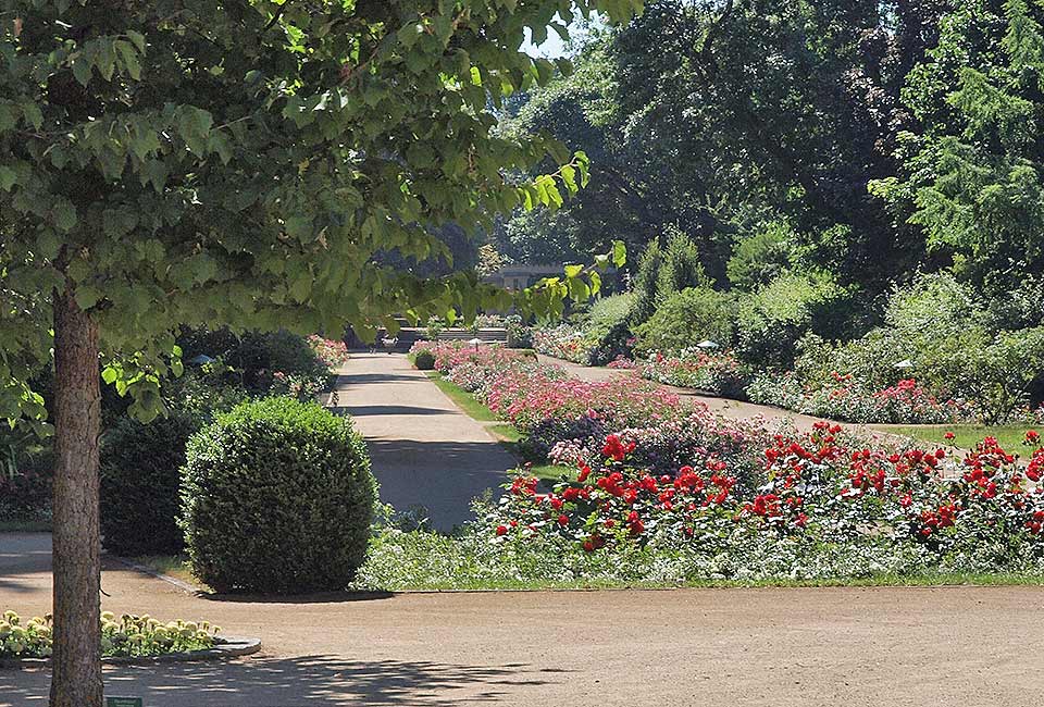 Rosengarten Rosengarten
