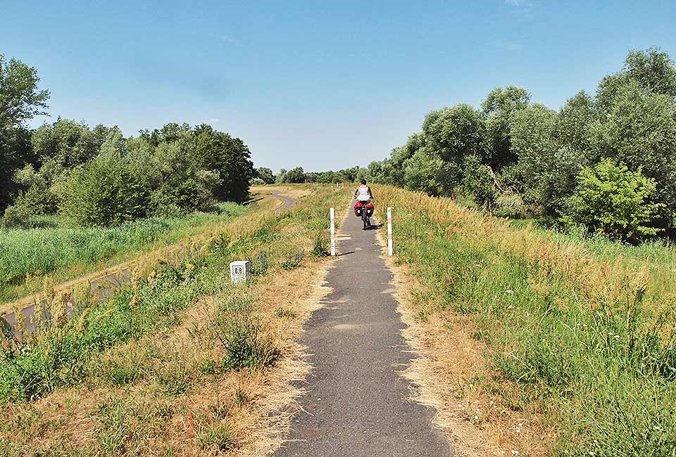 Radweg auf dem Damm