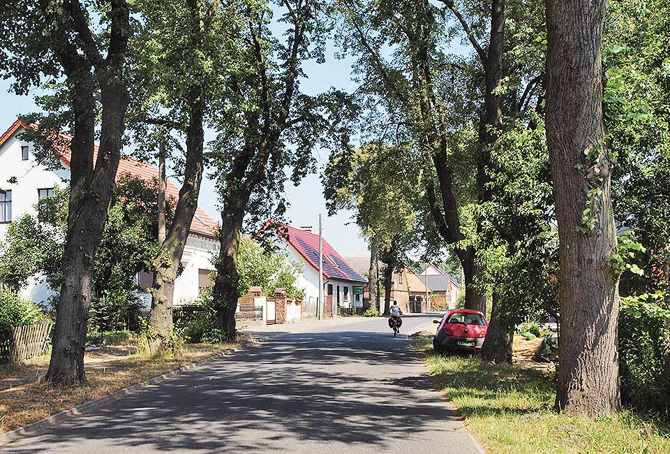 Auf Alleen durch Lossow Auf Alleen durch Lossow