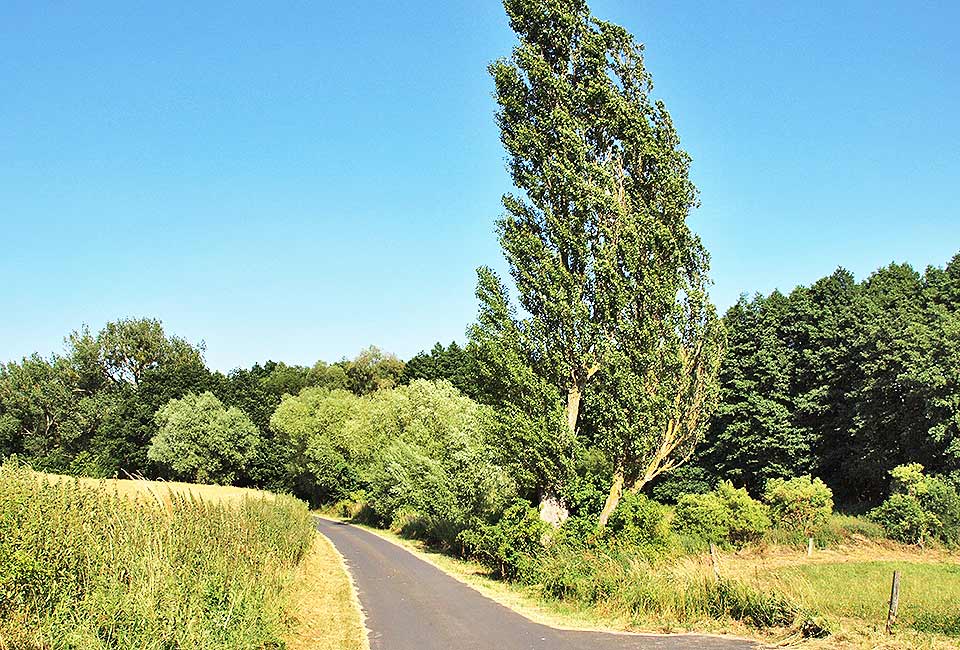 Schöne Landschaft Schöne Landschaft