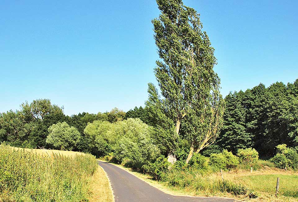 Schöne Landschaft