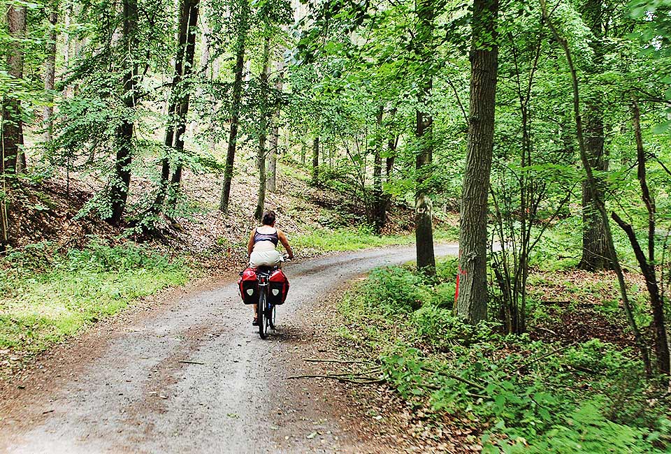 Waldetappe bis Warsin