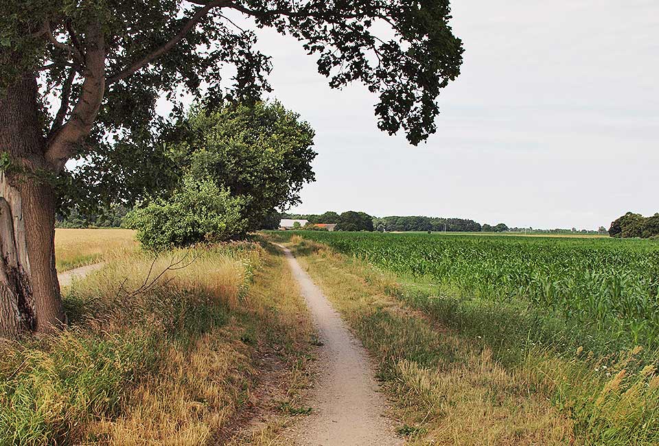 Der Schlangenweg