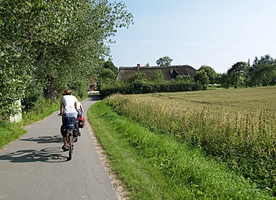 Ostseeküstenradweg: Radweg nach Nieby