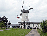 Windmühle Steinadler