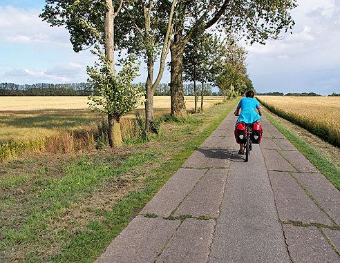 Historischer Plattenweg